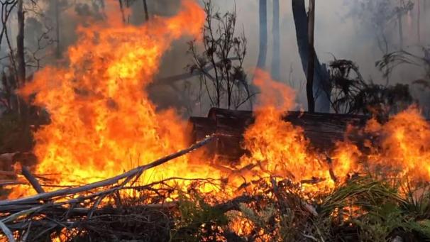 <p>Ein großes Feuer, das im Nordosten Tasmaniens brennt.</p>