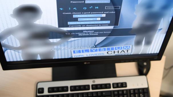<p>Dank einer neuen Software wird die Ermittlungsarbeit der Polizei in Sachen Kinderpornografie vereinfacht.</p>