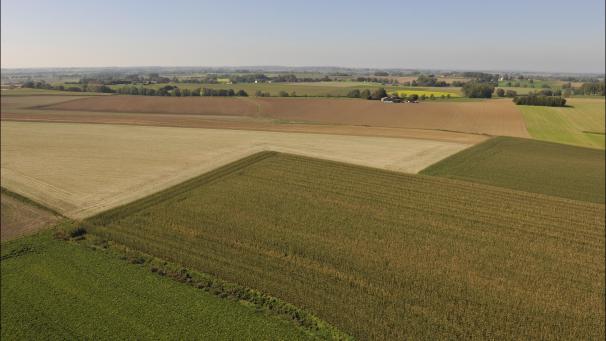 <p>Fast 70 Prozent der landwirtschaftlichen Nutzfläche werden im Pachtverhältnis bewirtschaftet.</p>