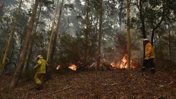 <p>Die Feuer wüten seit Oktober und haben landesweit mittlerweile eine Fläche von mehr als sechs Millionen Hektar zerstört, größer als die Niederlande.</p>