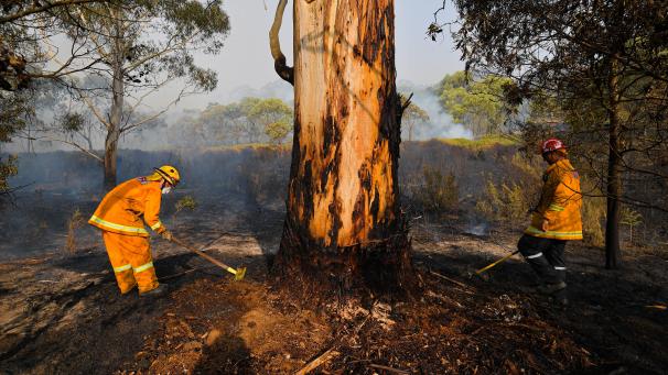 <p>Die Buschfeuer in Australien haben nach Behördenangaben bereits mehrere Millionen Hektar Land verbrannt</p>