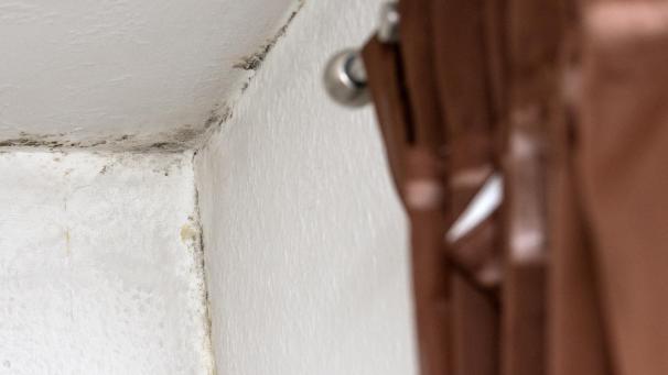 <p>Nicht immer ist Schimmel direkt schwarz: An Zimmerdecken kann er sich während der Heizperiode leicht bilden.</p>