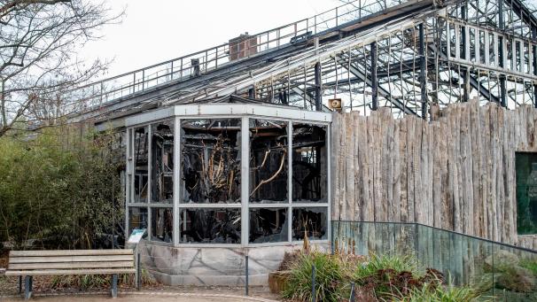 <p>Das abgebrannte Affenhaus des Krefelder Zoos.</p>