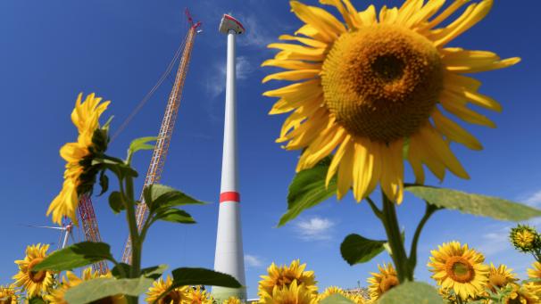 <p>Soll den Klimawandel entschleunigen: der „Green Deal“ der EU.</p>