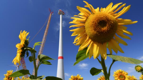 <p>Bis 2050 will die EU der erste klimaneutrale Kontinent der Erde werden. Das sieht es der „Green Deal“ vor.</p>