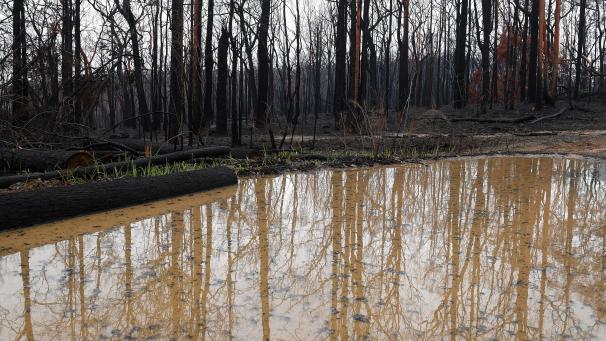 <p>Eine große Regenpfütze hat sich im abgebrannten Buschland in den Blue Mountains westlich von Sydney im Bundesstaat Bundesstaat New South Wales gebildet. In einigen australischen Brandgebieten hilft weiter starker Regen bei den Löscharbeiten.</p>