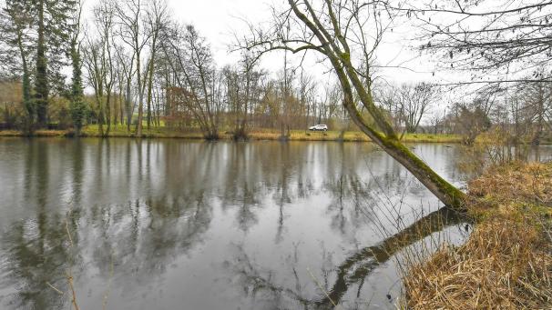 <p>Um zu verhindern, dass der Weiher komplett verschwindet, werden Rettungsmaßnahmen eingeleitet.</p>