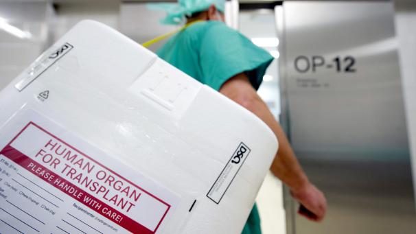 <p>Ein Styropor-Behälter zum Transport von zur Transplantation vorgesehenen Organen wird am Eingang eines OP-Saales vorbeigetragen.</p>