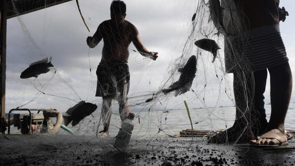 <p>Philippinische Fischer sammeln ihren Fang des Tages am Ufer des Taalsees ein, in dessen Mitte der Taal-Vulkan steht. Auf den Philippinen haben die Behörden die Menschen davor gewarnt, in ihre Häuser in der Nähe des gefährlich aktiven Vulkans Taal zurückzukehren.</p>