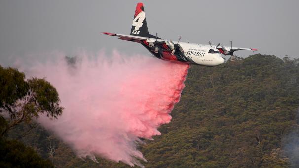 <p>Ein Löschflugzeug</p>