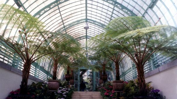 <p>Die Königlichen Gewächshäuser in Laeken sind renovierungsbedürftig. Allerdings fehlt das dafür nötige Geld.</p>