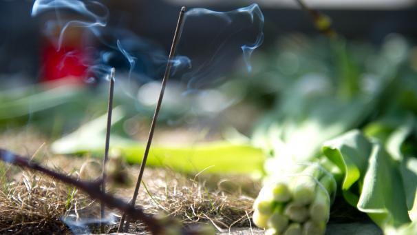 <p>Die Dämpfe, die beim Abbrennen von Räucherstäbchen freigesetzt werden, können sehr gesundheitsschädlich sein.</p>