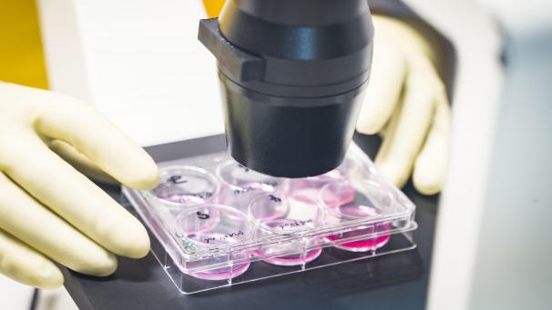 <p>Forscher arbeiten an der Entwicklung eines Impfstoffs gegen den Coronavirus.</p>