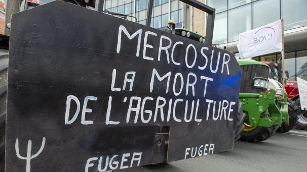 <p>Landwirte protestieren in Brüssel im Juli 2019 gegen das Mercosur-Abkommen.</p>