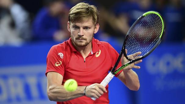 <p>David Goffin</p>