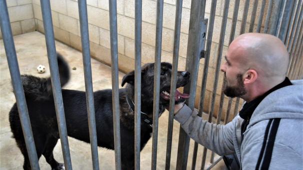 <p>Der Eupener Tierheim-Verantwortliche Yves Pavonet mit einem seiner Schützlinge.</p>