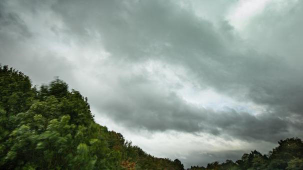 <p>124976875</p>