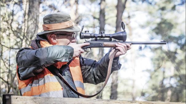 <p>Laut neuem Fünfjahresplan, der noch genehmigt werden muss, soll die Jagdsaison um fünf Monate verlängert werden. Damit soll vor allem die Pirsch auf Wildscheine erleichtert werden.</p>