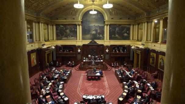 <p>Das Jugendparlament findet im Senat (hier die Plenarsitzung) statt.</p>