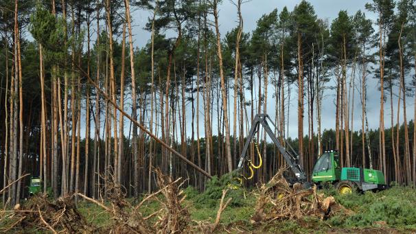 <p>Brandenburg, Grünheide: Die Rodungsarbeiten auf dem Gelände für das zukünftige Tesla Werk haben wieder begonnen.</p>
