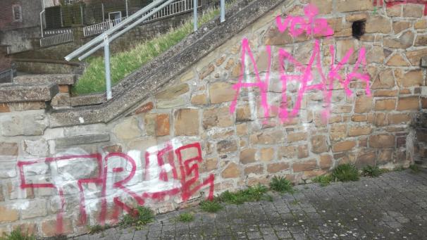 <p>Eine Aufnahme von der Moorenhöhe in Eupen.</p>