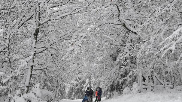 <p>Viel geschneit hat es erst Ende Februar, hier in Spa.</p>