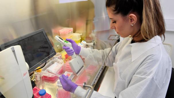 <p>Im Referenzlabor der Uni Löwen wurden am Dienstag deutlich mehr Corona-Tests durchgeführt als an den Tagen zuvor.</p>
