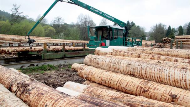 <p>Beim Holzverkauf aus den ostbelgischen Staatsforsten bestätigte sich, dass für gesundes Starkholz aktuell keine guten Preisen abgerufen werden können. Der europäische Nadelholzmarkt leidet noch zu sehr unter den Auswirkungen der Borkenkäferplage.</p>