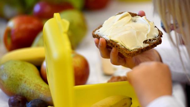 <p>Die Kindergartenassistenten sollen in Zusammenarbeit mit den Kindergärtnern den Schulalltag von Kindern gestalten und sich beispielsweise um regelmäßige Mahlzeiten kümmern.</p>