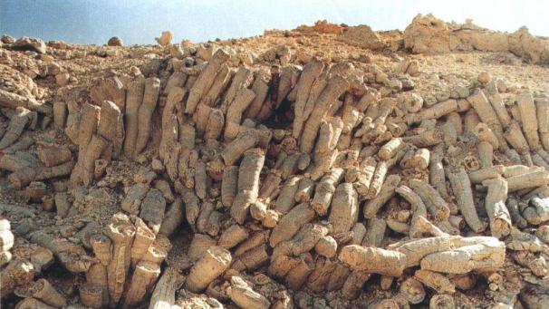 <p>Foto einer geologischen Formation im Oman (nicht genau derselbe Ort, aus dem das Fossil stammt)</p>