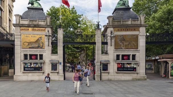 <p>Ein Blick auf den Eingang des Antwerpener Zoos</p>