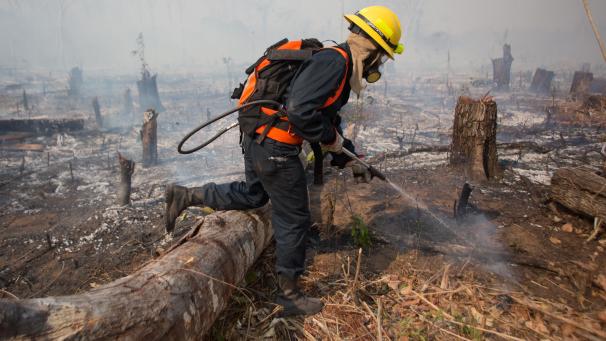 <p>Ein Feuerwehrmann bekämpft die Flammen in San Pablo, im bolivianischen Amazonasgebiet bei einem Waldbrand.</p>