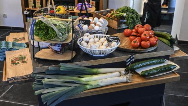 <p>Frisches Obst und Gemüse gehören ebenso zum Angebot wie frische Backwaren.</p>