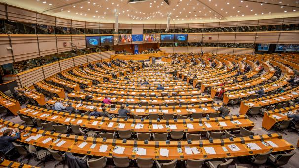 <p>Mehr als genug Platz: Die Kammer will für einen Tag in den Plenarsaal des EU-Parlaments umziehen.</p>