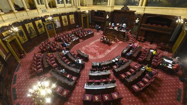 <p>Blick in den Senat</p>