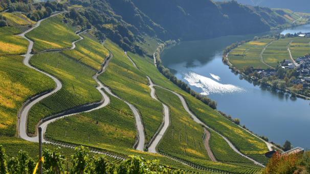 <p>Die Mosel-Region hat viel zu bieten.</p>