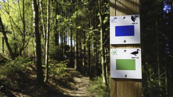 <p>Insgesamt 19 Wanderrouten in der Gemeinde wurden neu ausgeschildert.</p>