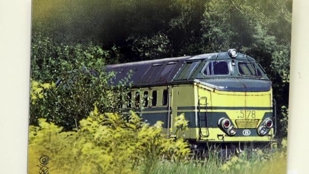 <p>Eine belgische Diesellok in der Natur: 25 Bilder von Eisenbahnen auf Alumiumplatten hat Eric Legrain für die Ausstellung in einer besonderen Technik angefertigt.</p>