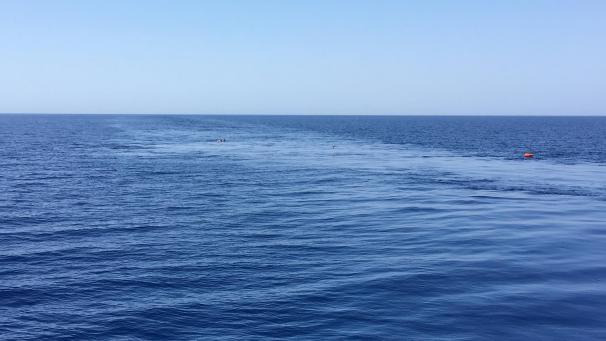 <p>Könnte Meerwasser in Knokke bald trinkbar sein?</p>