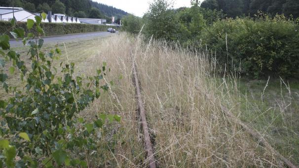 <p>Zwischenzeitlich ist die einstige Bahntrasse mit Gras bewachsen. Nunmehr ist der Weg frei, um eine Radverbindung in Richtung St.Vith zu schaffen.<br />
Foto: HG Boßmann/Archiv</p>