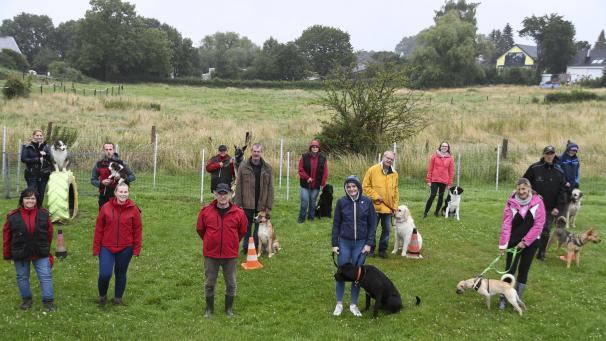 <p>Freiwillige Helfer holen die Hunde im Tierheim in Kettenis ab und bringen sie nach Hergenrath. Dort erwartet sie ein Training der besonderen Art.</p>