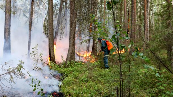 <p>Ein Waldbrand vor der Stadt Jugorsk, Russland</p>