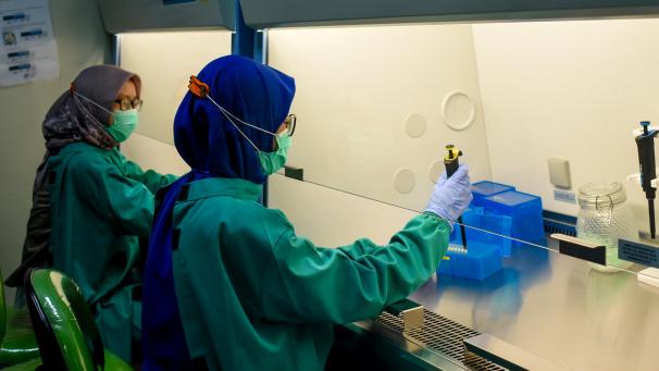 <p>In ihrem Zwischenbericht bemängeln die Experten die Tatsache, dass zu Beginn der Krise die Corona-Tests lediglich in einem belgischen Labor ausgewertet wurden.</p>