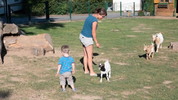 <p>Große und kleine Gäste kommen auf dem Camping Hohenbusch auf ihre Kosten. Die Nachfrage ist so groß, dass die Betreiber täglich Gästen absagen müssen.</p>