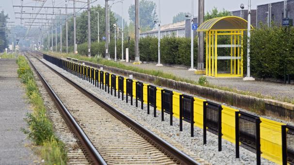 <p>Der Bahnhof Londerzeel ist bei Gleisläufern ziemlich beliebt.</p>