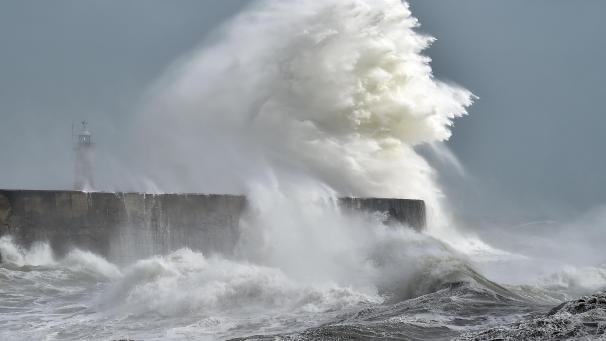 <p>BELGAIMAGE-167262033</p>