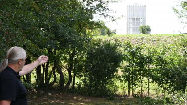 <p>Von seinem Garten aus würde Joachim Krichel direkt auf das geplante Windrad zur rechten Seite des Wasserturms blicken.</p>