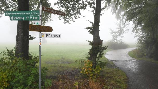<p>Von dem Aussichtsturm auf dem Steling erhofft sich die Stadt Monschau einen großen touristischen Mehrwert.</p>