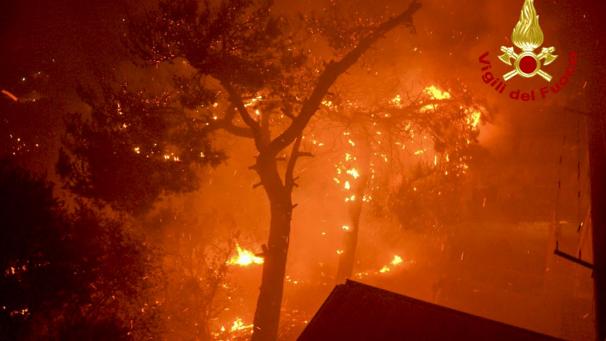 <p>Ein Baum steht in Flammen in der Nähe der Stadt Altofonte. 1.700 Menschen mussten ihre Häuser verlassen, als die von starken Winden, mit bis zu 150 km/h angefachten Flammen sich der Stadt näherten.</p>