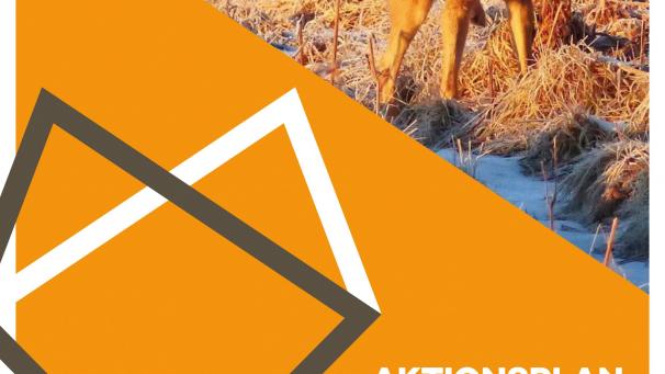 <p>Der Aktionsplan des Netzwerks Wolf der Wallonischen Region kann nun auch in seiner deutschen Fassung auf der Webseite des Netzwerkes abgerufen werden.</p>